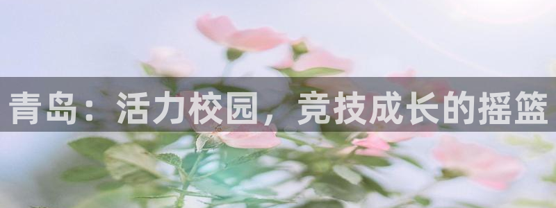 xc体育