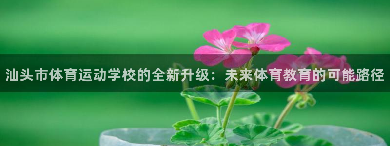xc体育app官方网站