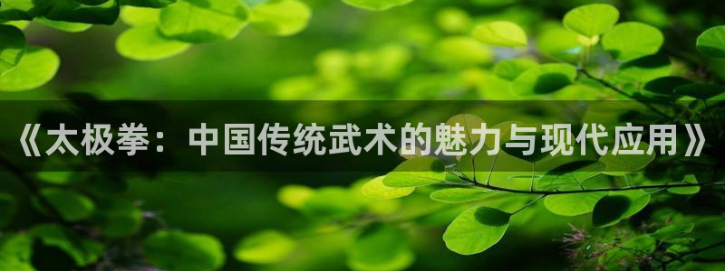 xc体育