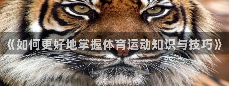 xc体育app官方网站：《如何更好地掌握体育运动知识与技巧》